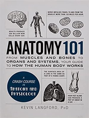 cover image of Anatomy 101: From Muscles and Bones to Organs and Systems, Your Guide to How the Human Body Works